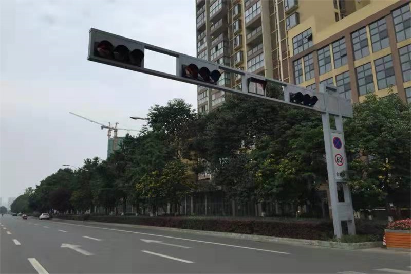 交通蘑菇视频